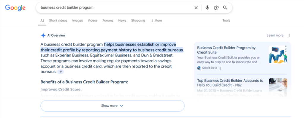 ai overview serp